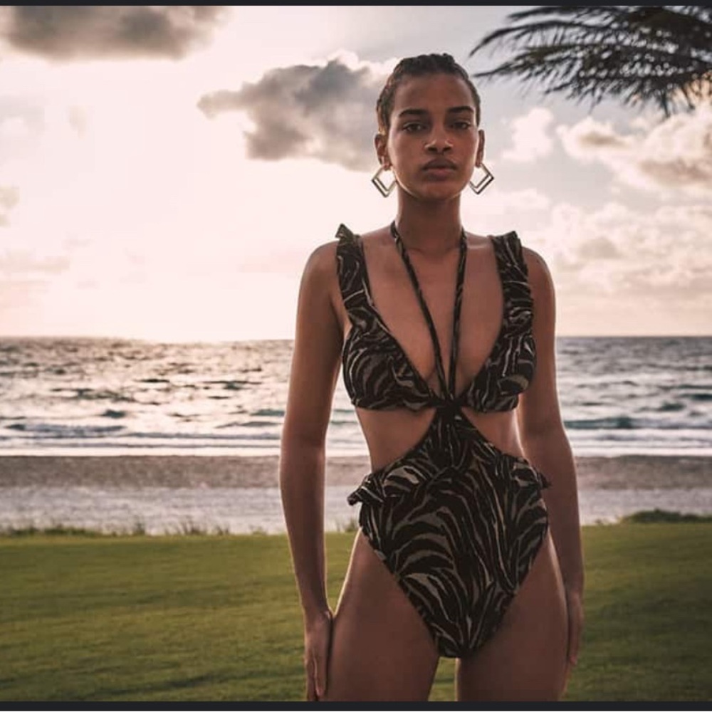 NWOT Devon Windsor Size Small Zebra Monokini One Piece